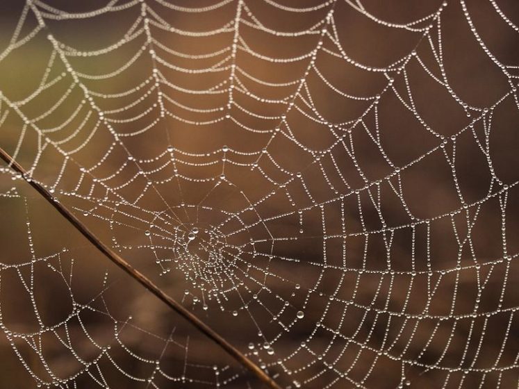 Koliko puta ste prošli kraj ovog, a da niste ni pogledali? (FOTO)