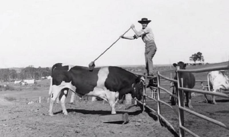 The Australian: Kako su Hrvati od farmera postali milijarderi