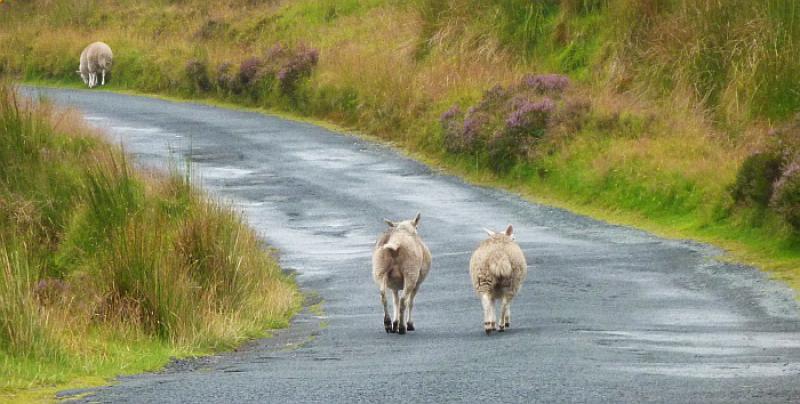 'Tata ti je pronašao posao pa se ljutiš što vani nemaš vezu?'