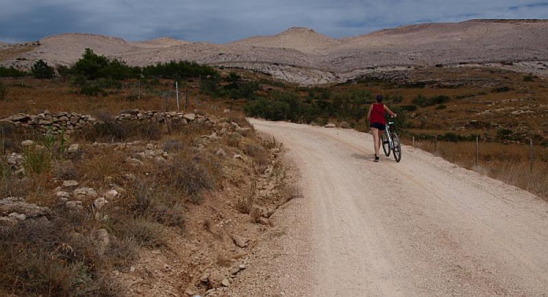 Industrija budućnosti? Zapošljava 655.000 ljudi, a mogla bi milijun