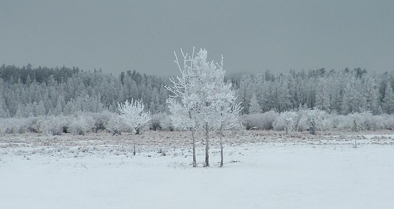 Voditeljica najavila lijepo vrijeme; poslušajte reakciju ljutitog slušatelja