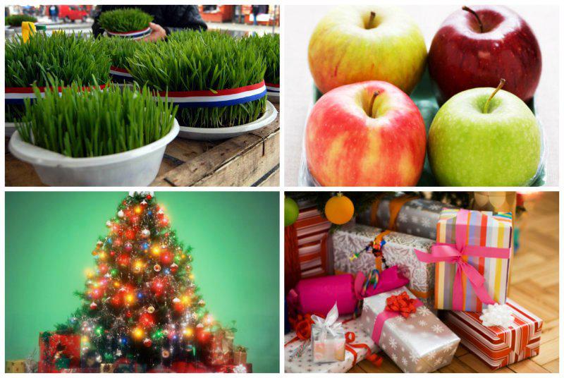 Evo zašto danas sijemo pšenicu! (VIDEO)