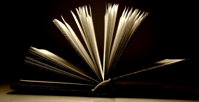 NATJEČAJ: 250 iseljenika dobit će po 700 kuna za studiranje u Domovini