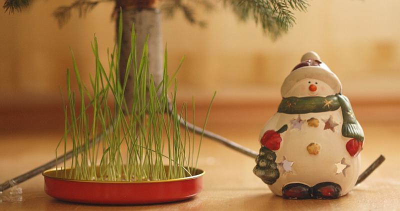 Najzanimljivije božićne tradicije diljem svijeta