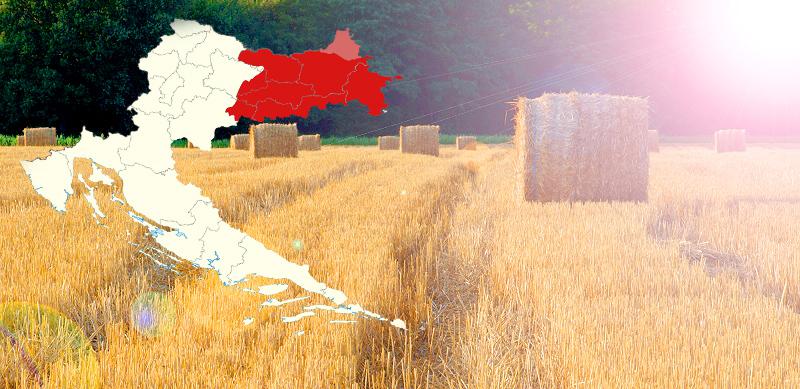 BIJEG IZ SLAVONIJE: Evo iz kojih županija najviše odlazite u tuđinu