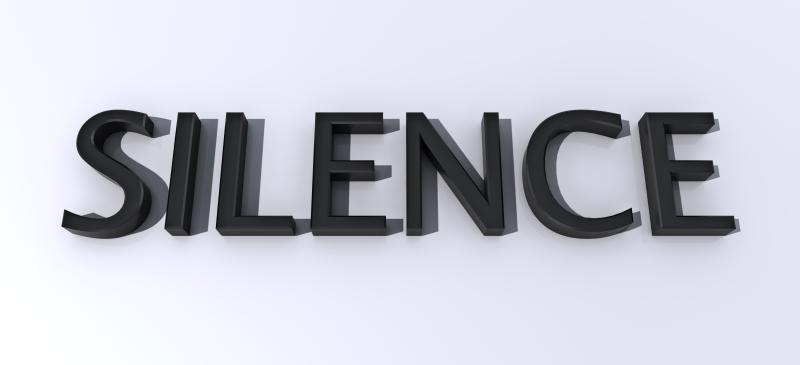 Počela izborna šutnja