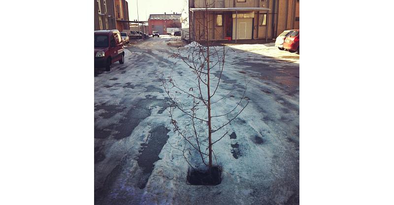 Evo kako Zagrepčani označavaju rupe na cesti (FOTO)