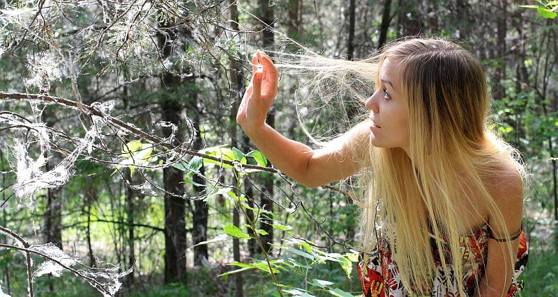 Australac o Šveđanima: 'Ovo je njihovih 5 najčudnijih navika'