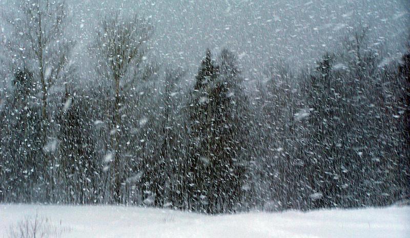 'U Kanadi nije ništa bolje nego u RH, to su priče za malu djecu!'