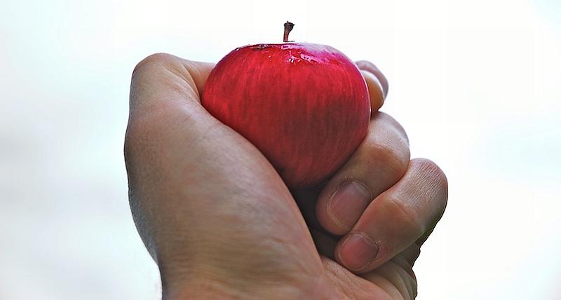 Croatia: Playing Politics With Hunger