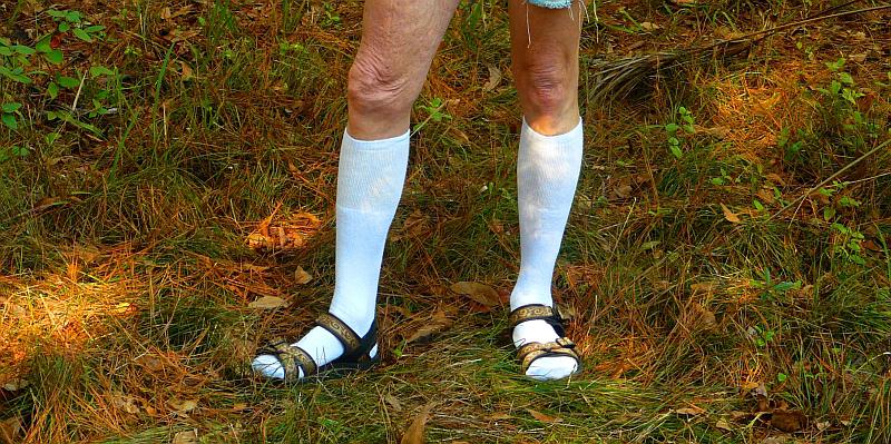 KARTA PREDRASUDA: evo kako drugi vide Nijemce