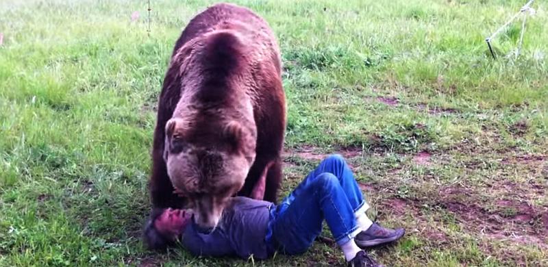Ogromna zvijer nadvila se nad njega, obavila ga šapama i... (VIDEO)