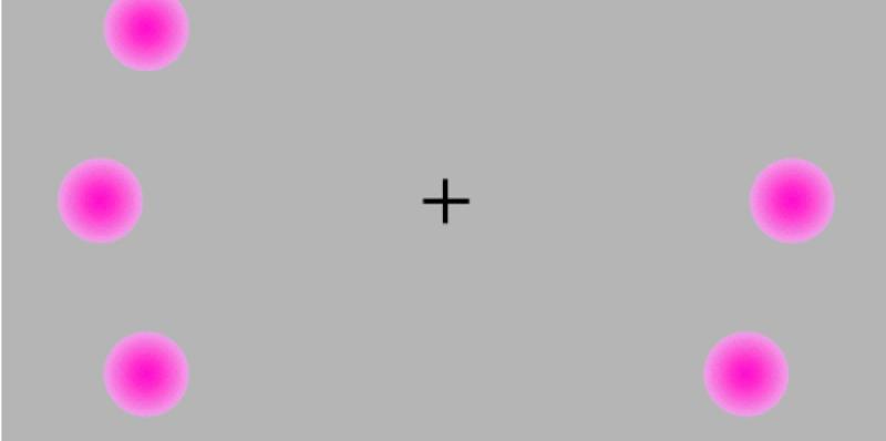 Gledajte u sredinu slike; za sekundu će se dogoditi nešto zanimljivo (FOTO)