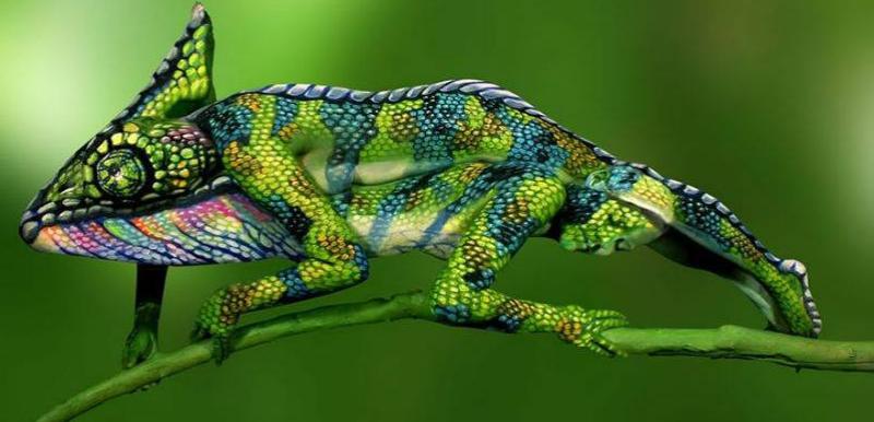 Na ovoj slici vidite kameleona? Pogledajte ponovo