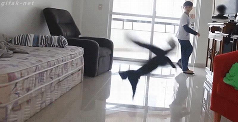 Ova mačka pokazuje odakle izraz 'imaš refleks kao mačka' (VIDEO)