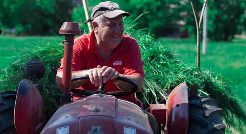 Ovo je idiličan seoski prizor...Ili nije baš sve kako se čini? (FOTO)