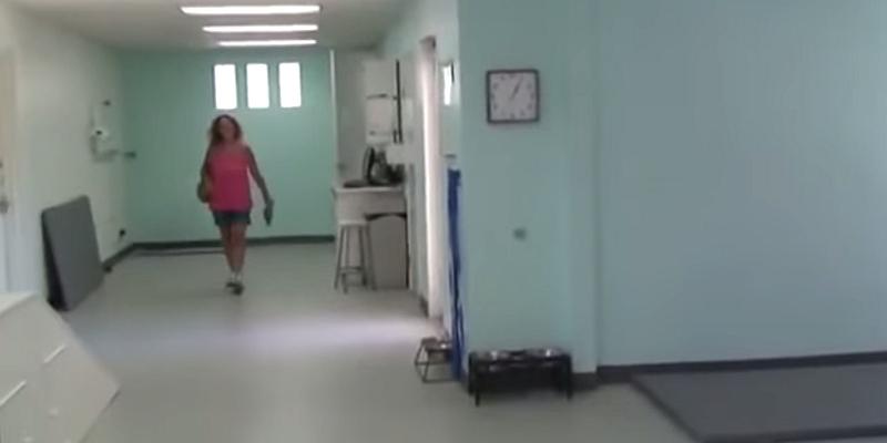 Rekli su joj da njen pas nikad više neće hodati, ali... (VIDEO)