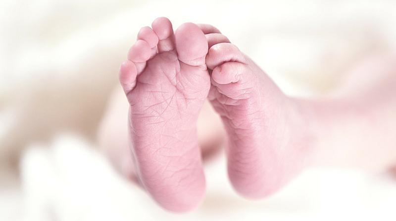 U 2014. u Hrvatskoj umrlo 11.273 ljudi više nego što je rođeno