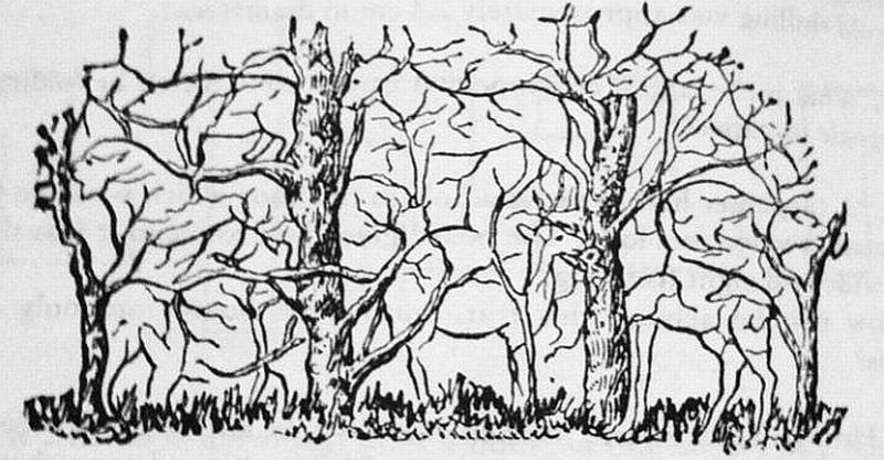 Možete li pronaći 10 životinja na ovoj slici?