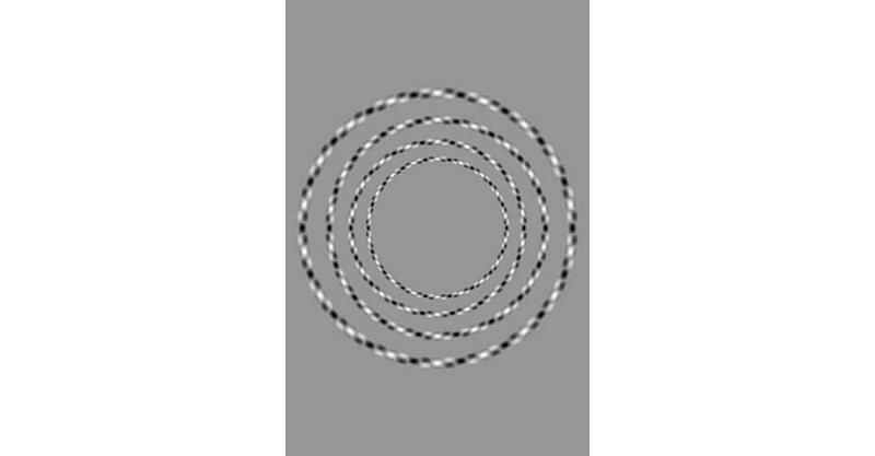 ILUZIJA: Možete li odgovoriti na dva jednostavna pitanja o ovoj slici?