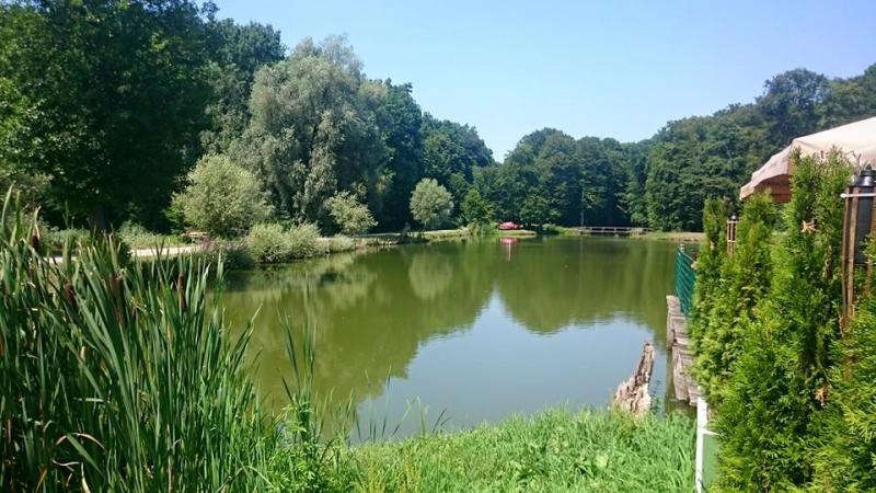 2. Susreti domovinske i iseljene Hrvatske