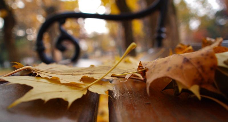 Prvi je dan jeseni: nikad nećete pogoditi što znači riječ ‘rujan’