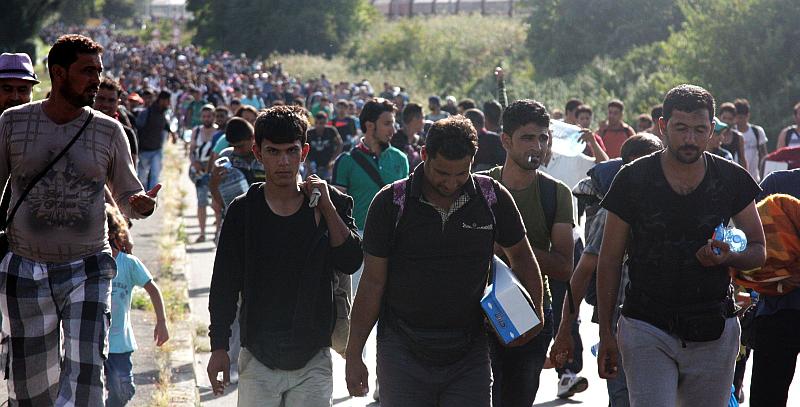 USKORO 100 TISUĆA: Kroz Hrvatsku dnevno prođe 5000 migranata