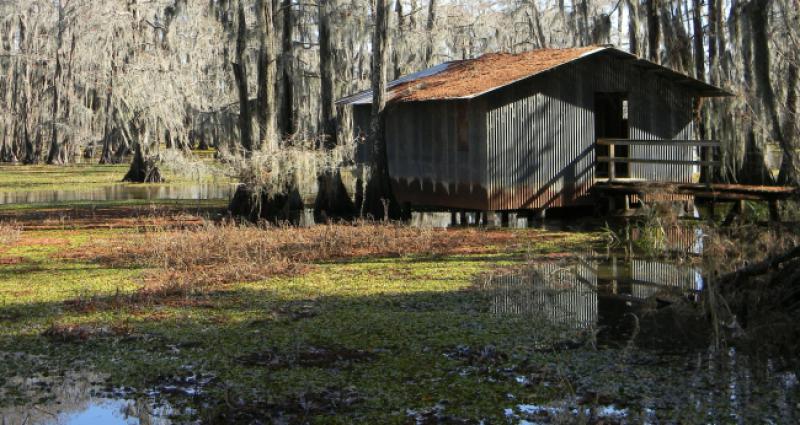 FENOMEN 'MLADA S RAZGLEDNICE': Usamljeni Hrvati iz močvara Louisiane tražili žene u domovini