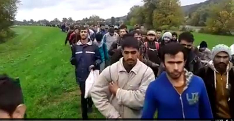 (VIDEO) EINE ARMEE JUNGER MÄNNER: Über Slowenien auf dem Weg nach Österreich! Invasion oder Armutsflüchtlinge?