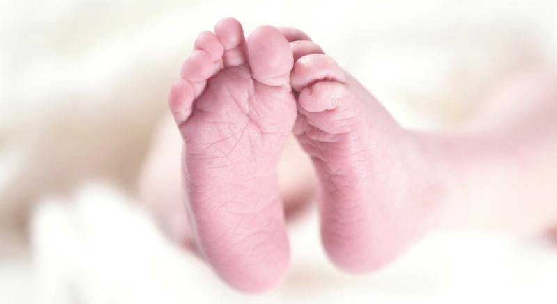 NE BOJTE SE: Kindergeld ćete dobivati i ako ne dostavite porezni broj do 1. siječnja 2016.