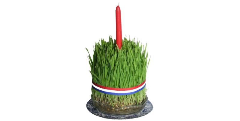 U 7 koraka do savršene božićne pšenice