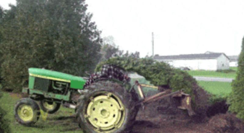 (GIF) Pokušao je iščupati božićnu jelku traktorom, osvetila mu se... puno puta