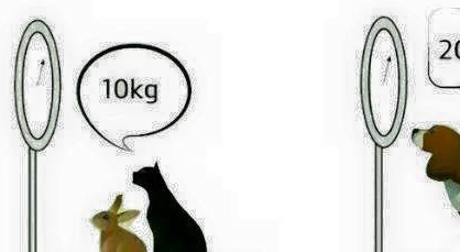 ZAGONETKA KOJA FRUSTRIRA MNOGE: znate li riješiti ovu 'mozgolomku'?