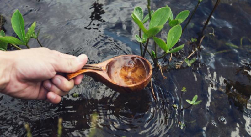 Šetali Nijemac, Amerikanac i mali Ivica i sreli vraga...