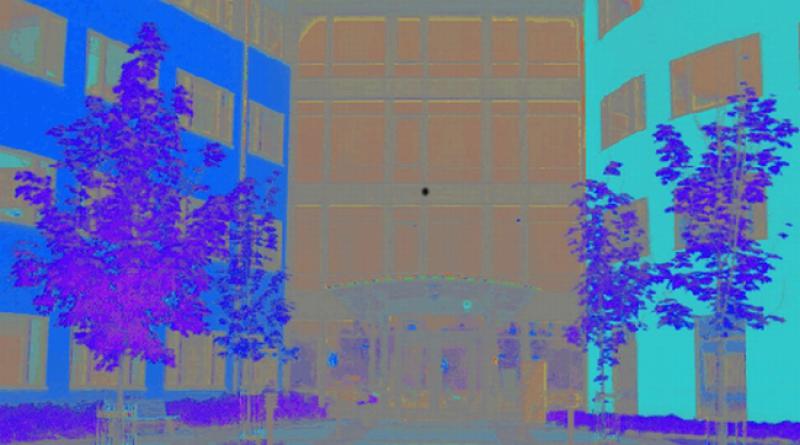 MOZAK JE ČUDO: Ako se dobro zagledate u ovu animaciju, nećete vjerovati što ćete vidjeti