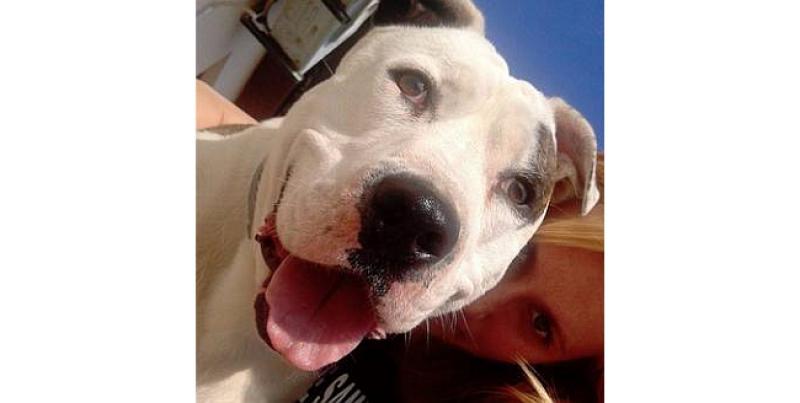 POLUDJELOG PSA JE IMALA ODMALENA: Liječnici se još uvijek bore za Paolinu ruku