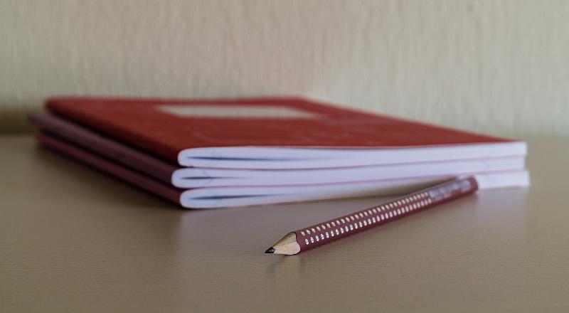 Dođe Ivica jako sretan kući iz škole...