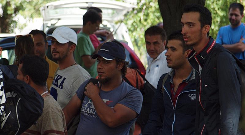 GRABAR-KITAROVIĆ ZABRINUTA: Mladi muškarci bježe, u ratu ostavljaju žene i djecu