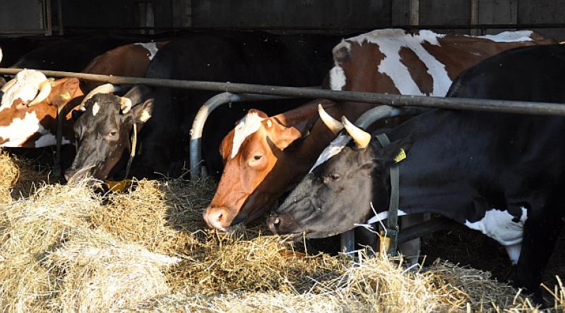 ON JE USPIO U HRVATSKOJ 29-godišnjak je razvio posao vrijedan milijune eura