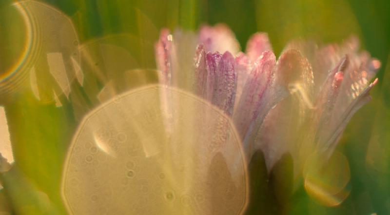 FOTOGALERIJA Došlo je proljeće