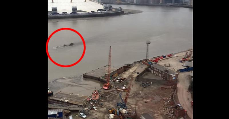 (VIDEO) NESSIE IMA ROĐAKA? S dizalice 'snimio' neobičnu  pojavu na površini Temze