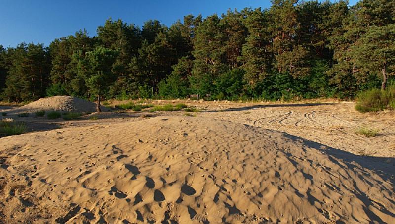 (FOTOGALERIJA) JEDINSTVENI FENOMEN U HRVATSKOJ Znate li što je ‘hrvatska Sahara’?