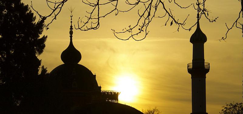 'U ISLAMSKIM DRŽAVAMA JE DRUGAČIJE, ALI...' CDU-ovac smatra da država mora kontrolirati džamije