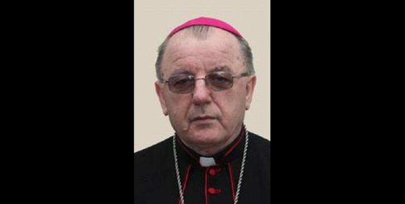 Životopis: Mile Bogović