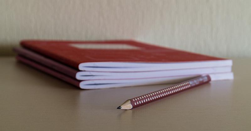 Stigao Ivica kući iz škole s knjižicom, gleda otac ocjene i vidi jedinicu za jedinicom...