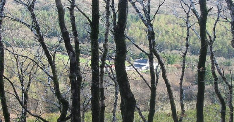 Mujo i Haso odu u lov...