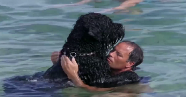 NEW YORK POST Objavio video o prvom hrvatskom kafiću za pse