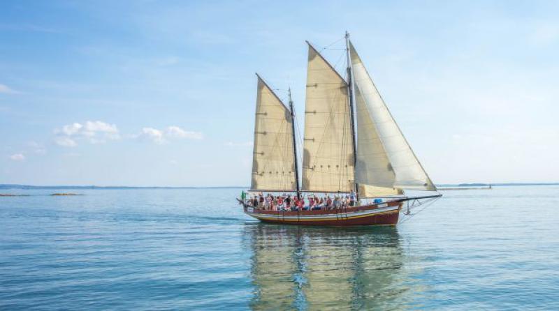 Učiteljica pita djecu kako funkcionira država...