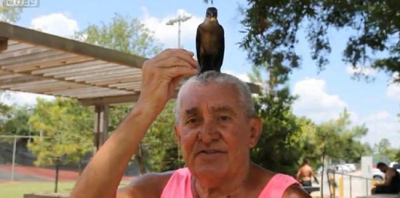 (VIDEO) HRVAT ATRAKCIJA U HOUSTONU Zovu ga 'Hrvatska senzacija', 'Ptičji čovjek'...