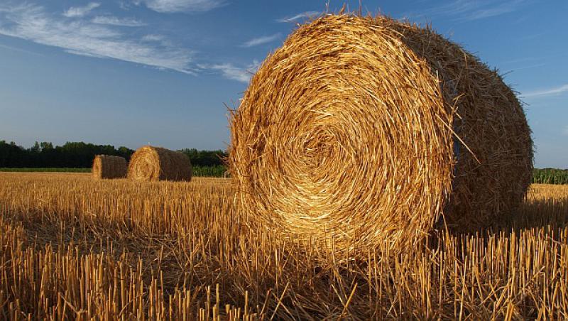 ZANIMLJIVOST DANA Stigao je kolovoz! Znate li što ta riječ znači?